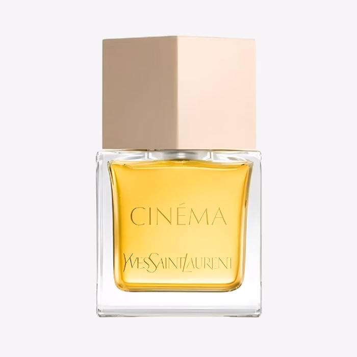 Yves Saint Laurent Cinema 2024